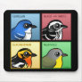 Four Colour Warblers