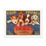 Four Friends Vintage Tomato Crate Label Postcards