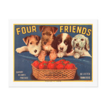 Four Friends Vintage Tomato Crate Label Postcards