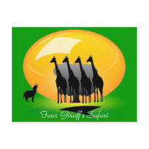 FOUR GIRAFF'S SAFARI POST CARDS