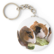 four guinea pigs who eat, porte-clefs