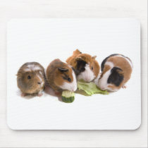 four guinea pigs who eat, tapis de souris
