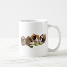four guinea pigs who eat, tasse à café