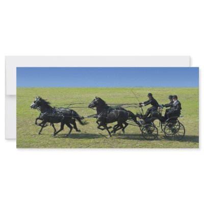 four-in-hand rack card design by skaljac