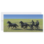 four-in-hand rack cards