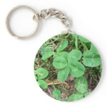 Four Leaf Clover keychains