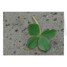 Four Leaf Clover - Lucky Charm Cards