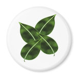 Four Leaves Magnet