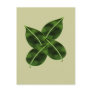 Four Leaves Posctcard Post Card