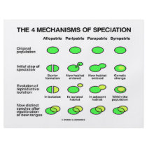 Four Mechanisms Of Speciation (Evolution)