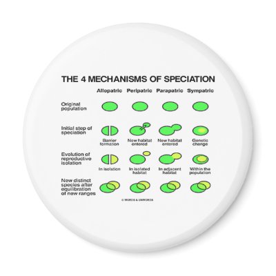 Four Mechanisms Of Speciation (Evolution) by wordsunwords