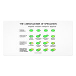 Four Mechanisms Of Speciation (Evolution)