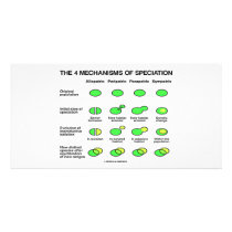 Four Mechanisms Of Speciation (Evolution)