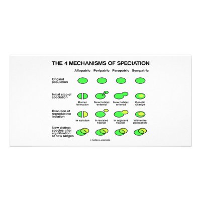 Four Mechanisms Of Speciation (Evolution) by wordsunwords