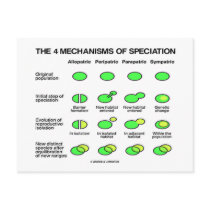 Four Mechanisms Of Speciation (Evolution)