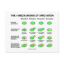 Four Mechanisms Of Speciation (Evolution)