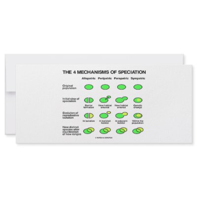 Four Mechanisms Of Speciation (Evolution) by wordsunwords