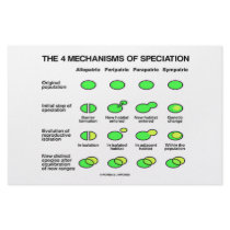 Four Mechanisms Of Speciation (Evolution)