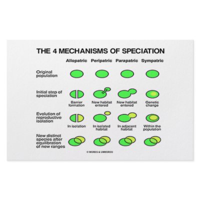 Four Mechanisms Of Speciation (Evolution) by wordsunwords