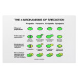 Four Mechanisms Of Speciation (Evolution) stationery