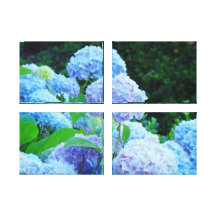 Four Panle Canvas nature prints Blue Hydrangeas Stretched Canvas Print