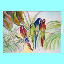Four Parrots Sitting in a Tree....... cards