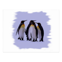 Four Penguins Post Cards