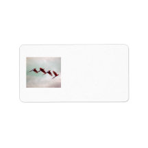 Four Scarlet Mackaws Custom Address Labels