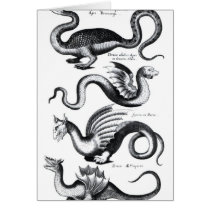 Four types of dragon card
