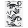 Four types of dragon card