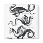 Four types of dragon fridge magnet