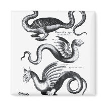 Four types of dragon fridge magnet