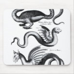Four types of dragon mousepads