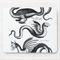 Four types of dragon mousepads