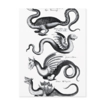 Four types of dragon post cards