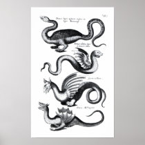 Four types of dragon