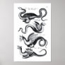 Four types of dragon