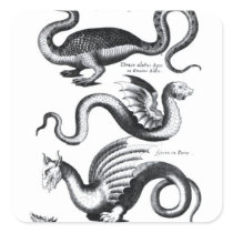 Four types of dragon square stickers