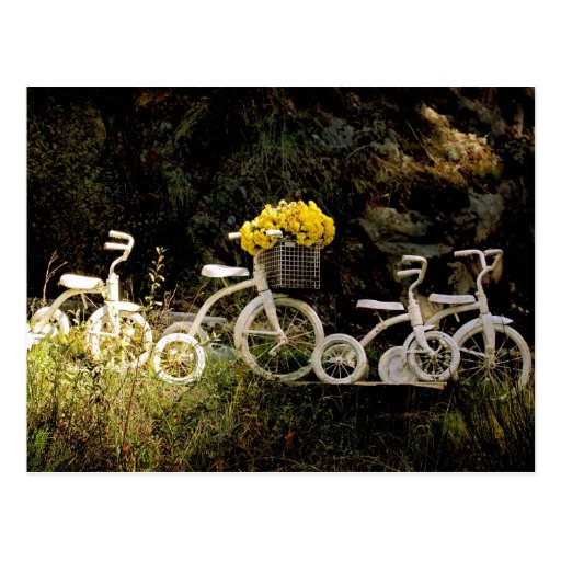 Four White Trikes Post Cards