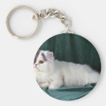 Fourgon persan de Persan, blanc et bleu Porte-clé