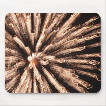 Fourth of July Extravaganza Mousepad