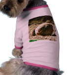 Fowl Of Some Kind Pet Clothes