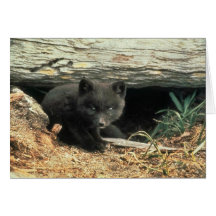 Fox and Den Greeting Cards