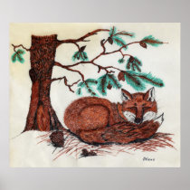 FOX Beneath Pine Bough Posters