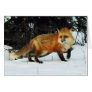 Fox Cards