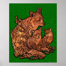 Fox Family in a Grass Background Poster