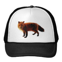 Fox Hats
