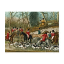 Fox Hunting 1 Post Card
