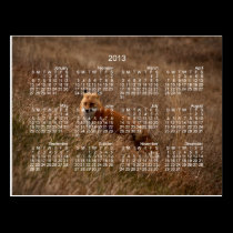 Fox in the Grass; 2013 Calendar postcards