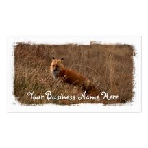 Fox in the Grass; Promotional Business Card Templates